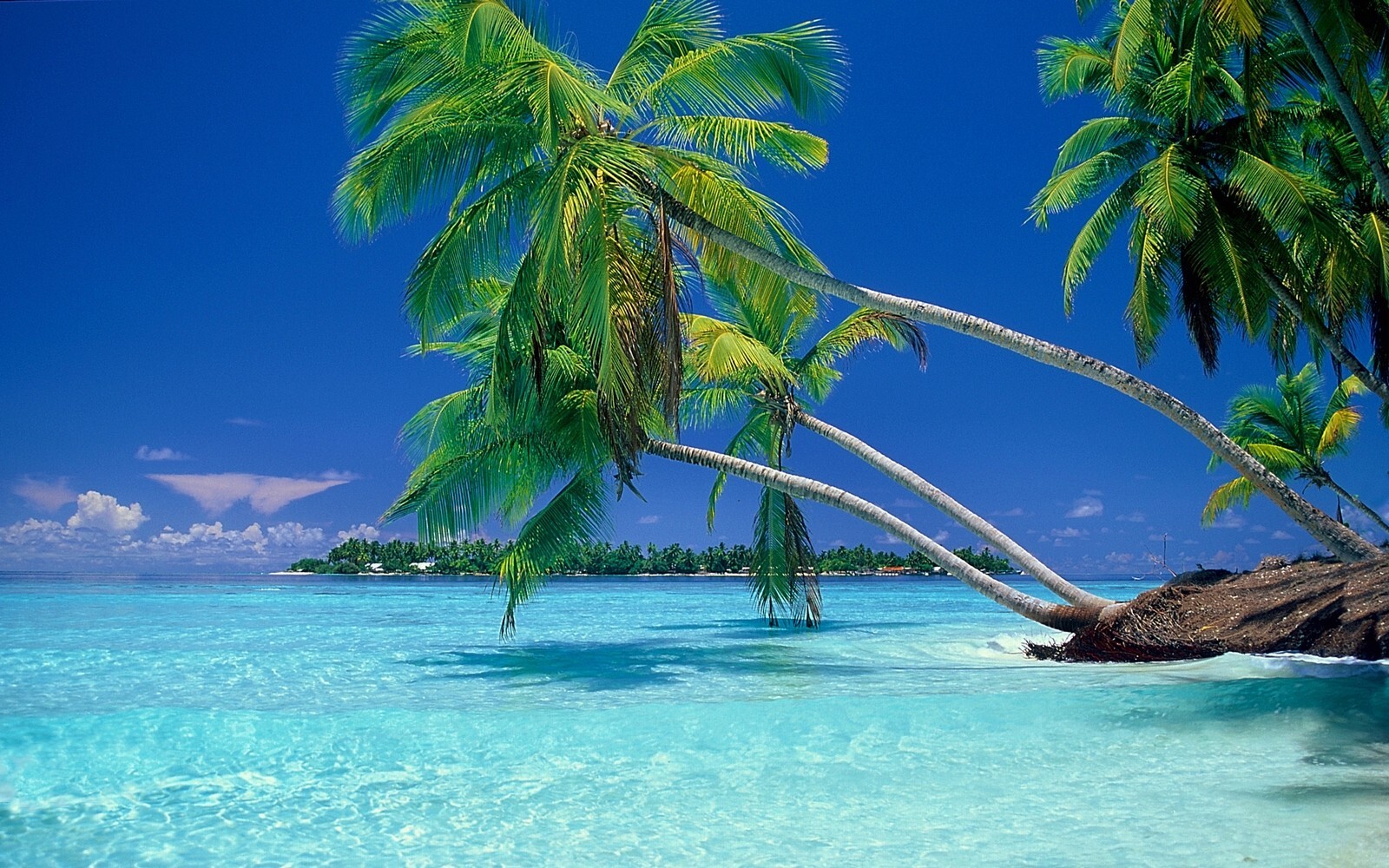 Landscape nature beach tropical sea vacation summer palm Custom Gaming Mat Desk
