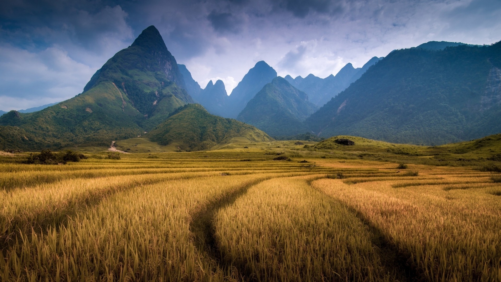 Landscape nature mountains clouds vietnam field trees Custom Gaming Mat Desk
