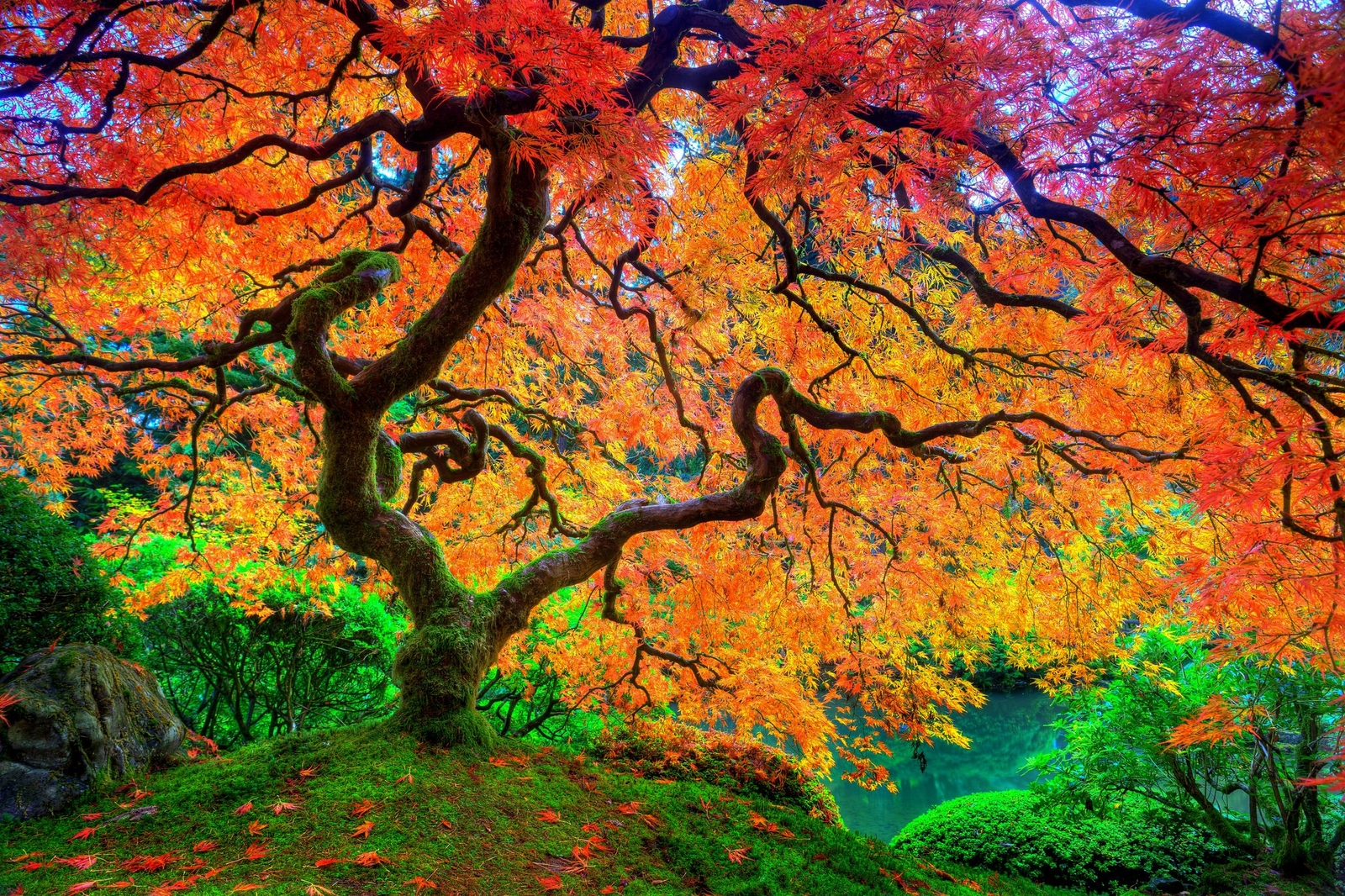 Landscape trees leaves seasons fall nature plants Custom Gaming Mat Desk