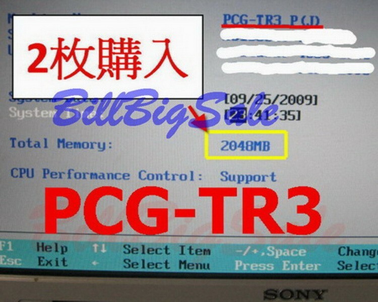(1GB RAM) 1x1G MicroDIMM 172PIN PC2700 DDR-333 DDR333 SONY PANASONIC FUJITSU h μ