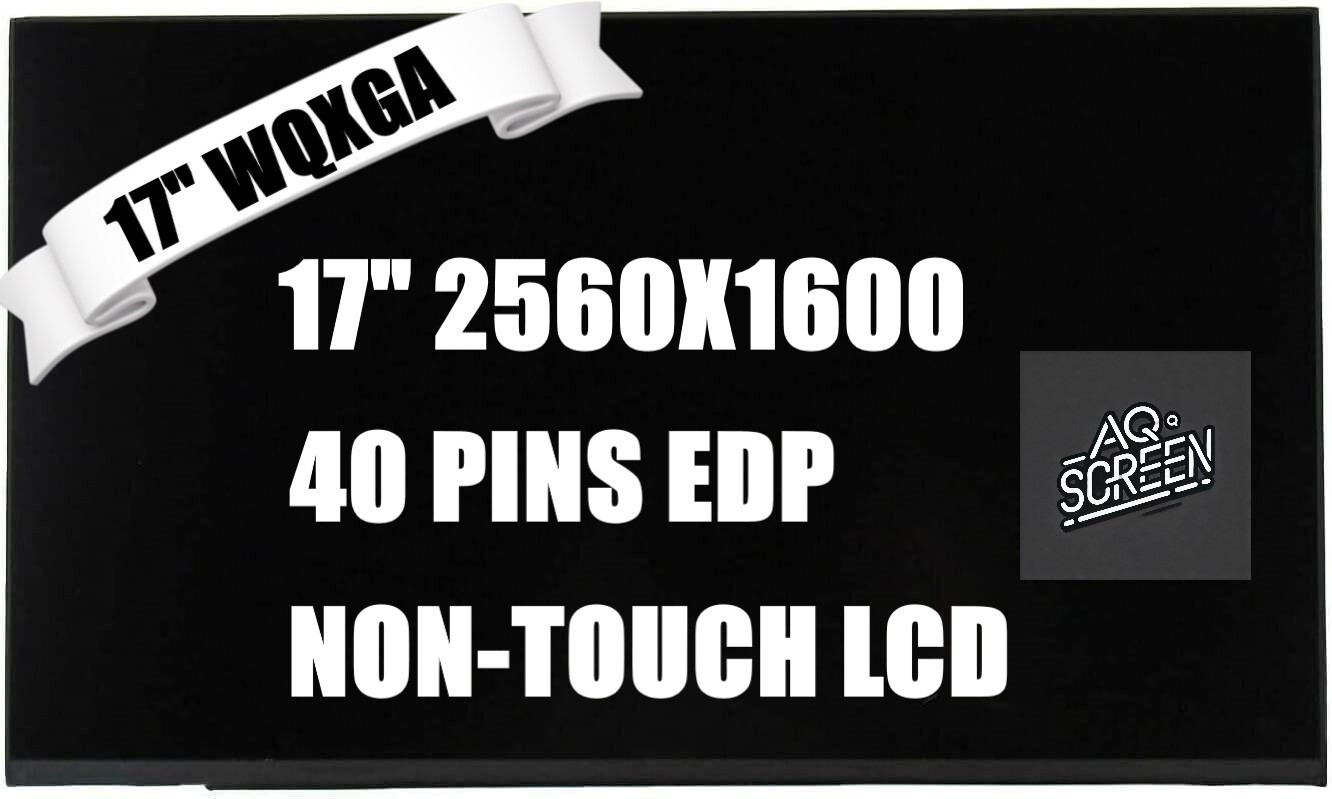 B170QAN01.2 17.0" 240Hz WQXGA 2560x1600 LED LCD Screen IPS Display Replacement