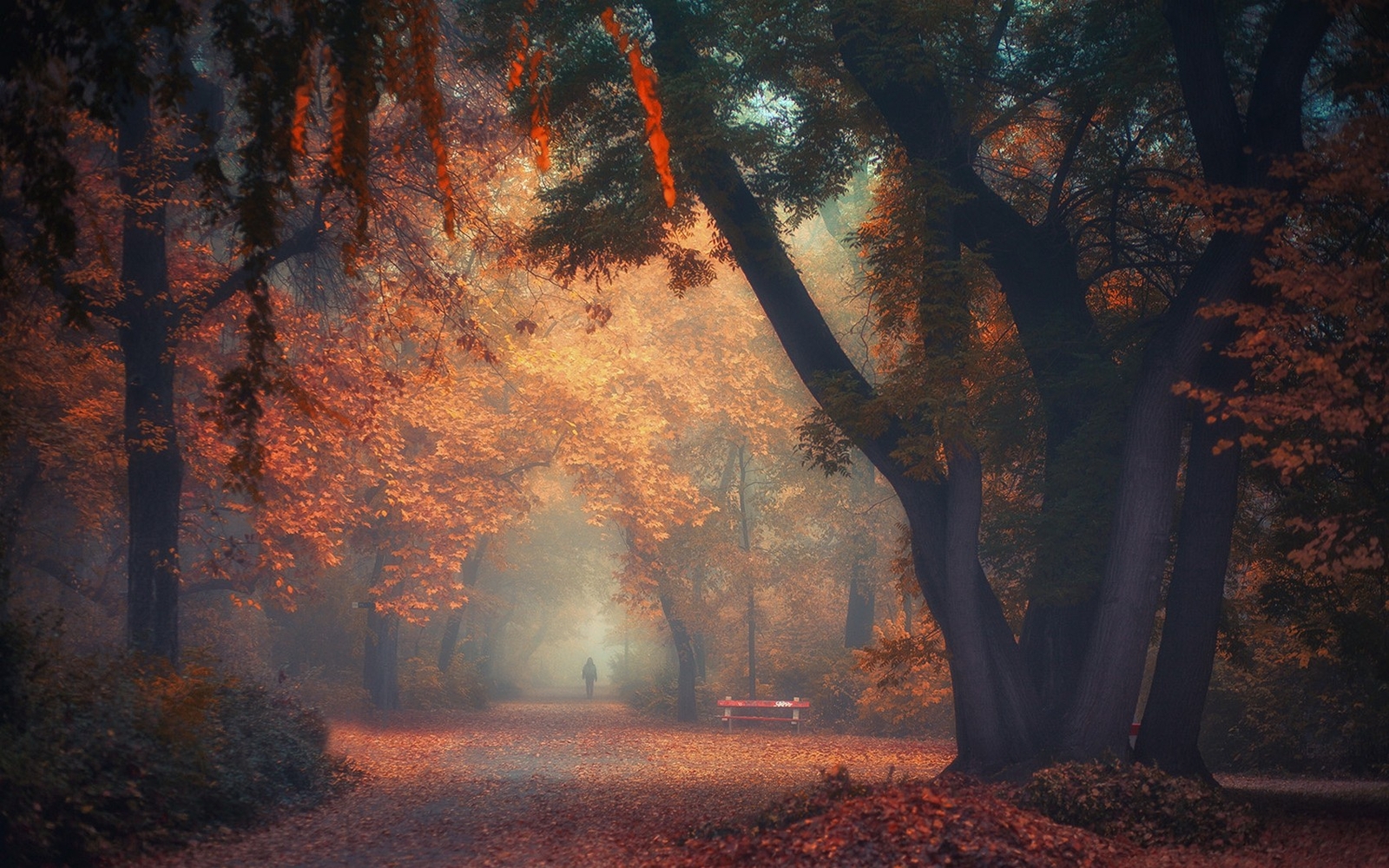 Landscape nature park trees fall mist morning walking Custom Gaming Mat Desk