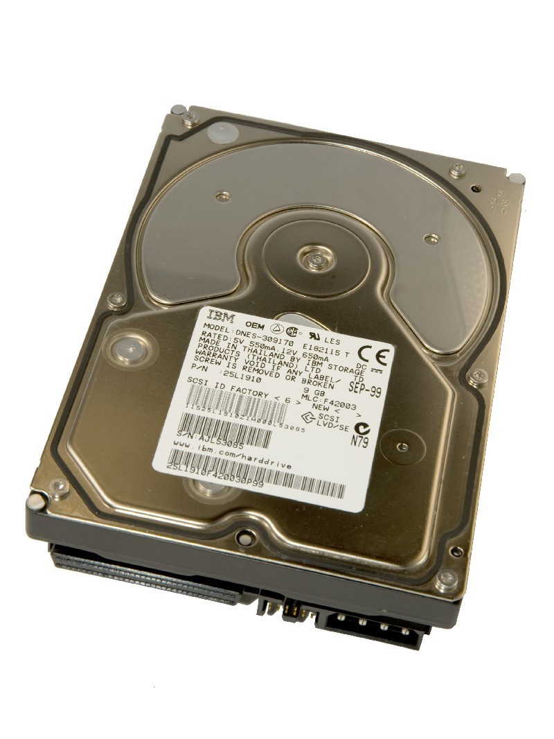 IBM Ultrastar 18ES DNES-309170 25L1910 9GB