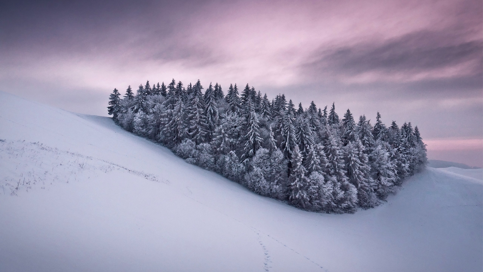 Landscape snow trees winter sky nature Custom Gaming Mat Desk