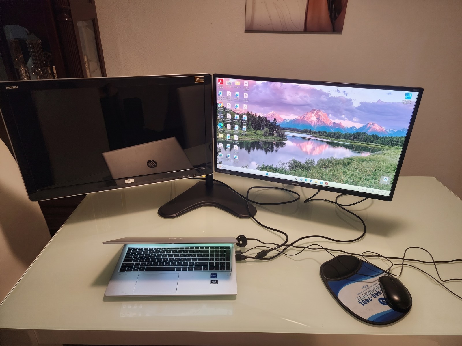 Dual (2) Computer Monitors (27" BenQ + 25" HP) with Stand