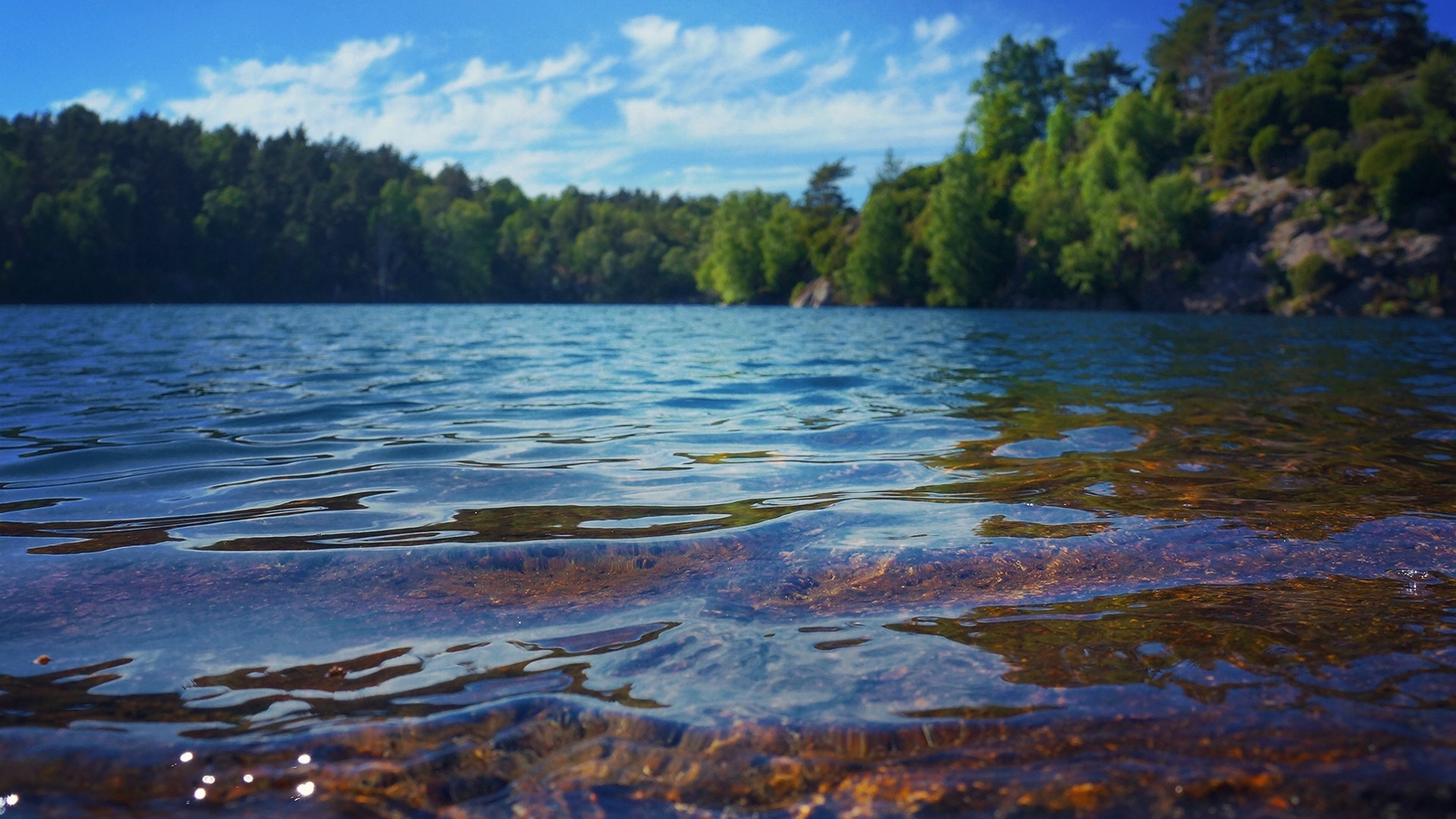 Landscape lake water Custom Gaming Mat Desk