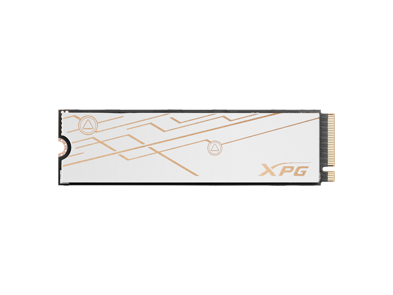 XPG BLADE M.2 2280 1TB PCI-Express 5.0 x4 3D NAND Internal Solid State Drive (SS