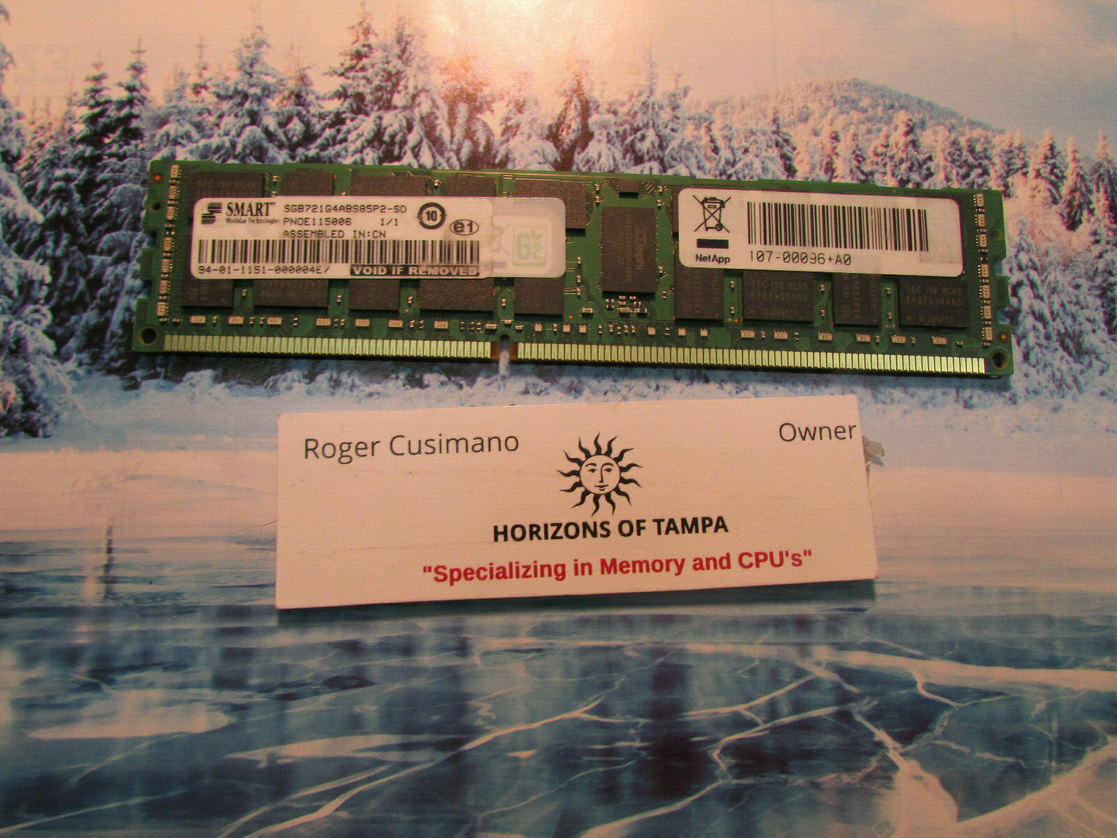 SMART SGB721G4ABS85P2-SD NetApp 107-00096 Memory 8GB DDR PC3-8500