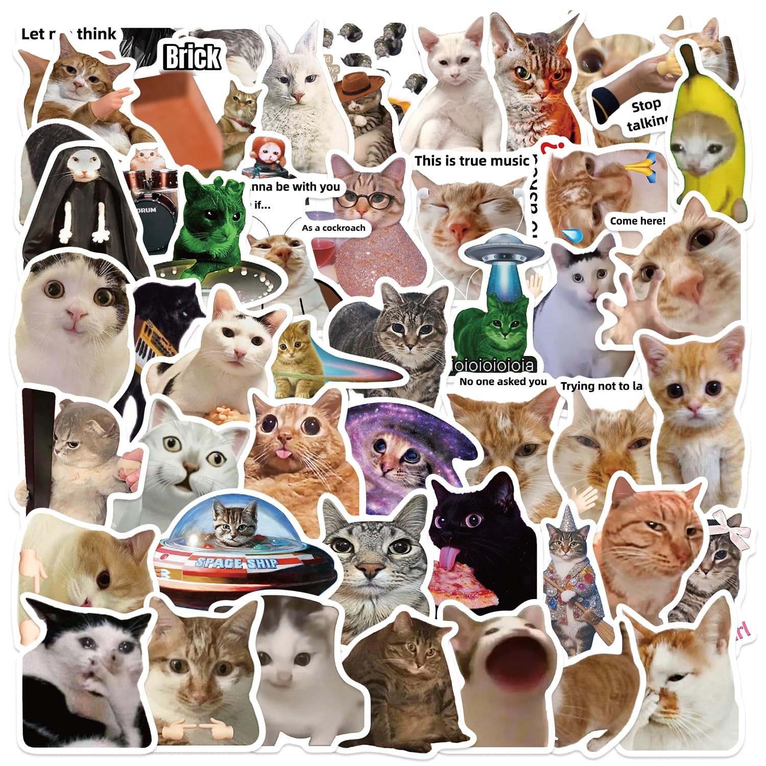 50pcs Cat Meme Stickers, Funny Cat Stickers for Journaling Adults Kawaii,Cute Wa