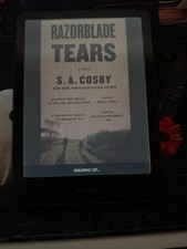 Kindle Colorsoft 16BG picture