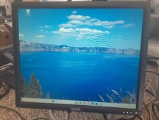 Screen Streaks - Dell UltraSharp 1901FP 19