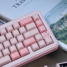 Sakura Pink PBT Double Shot Translucent Keycaps 164 Keys Cherry Profile picture