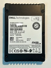 Dell 0K4XRJ 3.84TB PCIe Gen 5.0 SSD MZWL93T8HFLTAD3 PM1753 - 100% Life picture