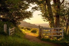 Landscape nature england summer lights trees plants Custom Gaming Mat Desk picture