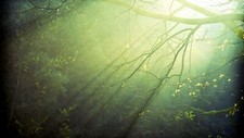Landscape nature sunlight minimalism Custom Gaming Mat Desk picture