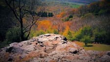 Landscape forest fall red leaves trees Custom Gaming Mat Desk picture