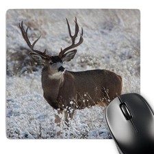 3dRose Mule Deer Buck in Late Autumn Snow Mouse Pad (mp_258040_1) picture