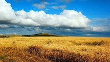 Landscape summer field wheat hills clouds far view Custom Gaming Mat Desk picture