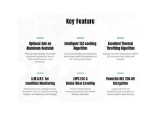 KLEVV K01TBM2SP0-10G CRAS C910G SSD 1TB, M.2 NVMe 2280, PCIe Gen4x4 Solid state picture