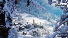 Landscape nature trees spruce pine village house forest Custom Gaming Mat Desk picture