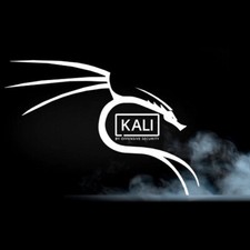 Kali Linux 2024.1 DVD (AMD64) picture