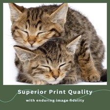 2 Pack TK-1162 Black Laser Toner Cartridge Kyocera Mita ECOSYS P2040dn P2040dw picture
