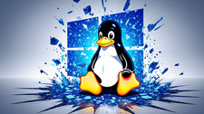 Linux Porting Service (migrate from Windows) picture