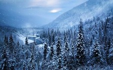 Landscape winter snow trees alaska nature mountains Custom Gaming Mat Desk picture