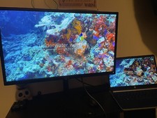 Dell 23 Inch Display Monitor : Dell Professional Monitor picture