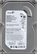 ST3250310CS P/N: 9FG132-160 F/W: 3.ACD SU 6RY Seagate 250GB picture