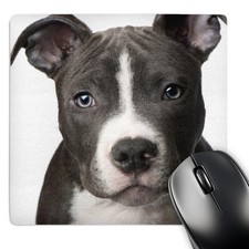 3dRose LLC 8 x 8 x 0.25 Inches Mouse Pad, American Pit Bull Terrier Puppy picture