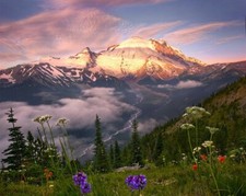 Landscape nature wildflowers mountains snowy peak pine Custom Gaming Mat Desk picture