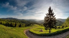 Landscape nature spring forest mountains path morning Custom Gaming Mat Desk picture