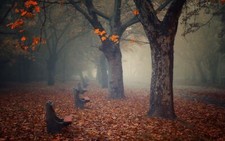 Landscape fall bench leaves park trees calm fallen Custom Gaming Mat Desk picture