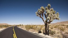 Landscape road desert badlands cactus joshua tree plants Custom Gaming Mat Desk picture