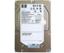 HP 300GB 15K DP 3.5