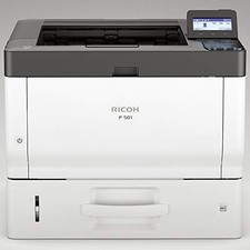 Ricoh P 501 picture