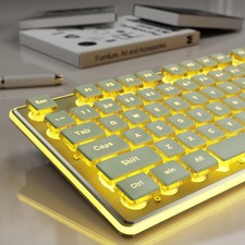 EWEADN GX710S Backlit Computer Keyboard Wired USB Metal Panel Pudding Green picture
