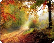 Deep Green Forest in the Fall  Colorful  Photo Art Designs  Mouse Pad picture