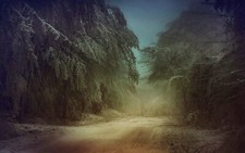 Landscape mist nature trees winter dirt road snow frost Custom Gaming Mat Desk picture