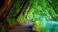 Landscape nature trees path Custom Gaming Mat Desk picture