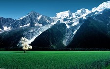Landscape grass mountains snowy peak field plants agro Custom Gaming Mat Desk picture
