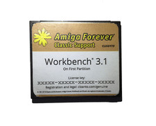 Amiga Workbench System 3.1 on 4GB CF Card for 600 1200 Hard Drive HDD picture
