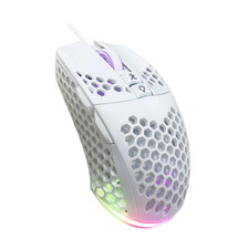 WHITE Wireless/Wired Gaming Mouse Ultralight Honeycomb Shell RGB 1200-8000 DPI picture