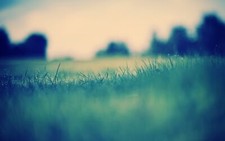 Landscape grass nature water drops muted plants Custom Gaming Mat Desk picture
