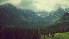 Landscape forest clearing mountains nature pine Custom Gaming Mat Desk picture