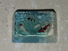 Jelly Key Zen Pond 3 artisan keycap 1.5u Doitsu Arctic (Cherry R3) picture