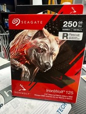 seagate ironwolf 125 250GB picture