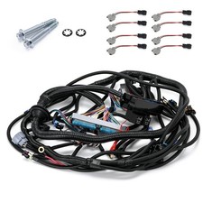 LS Standalone Wiring Harness Compatible with GM LS1 1999-2006 Vortec Engines 4. picture