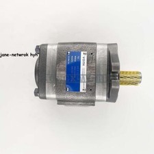 1PC NEW IPV4-25-171 Hydraulic Pump IPV4-25 171 By DHL or FedEX picture